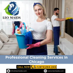 Professional Cleaning Services in Chicago