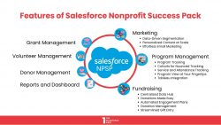 Features of Salesforce NPSP