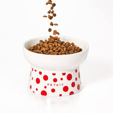 Feeding Options That Are Easy To Use With Automatic Cat Feeders