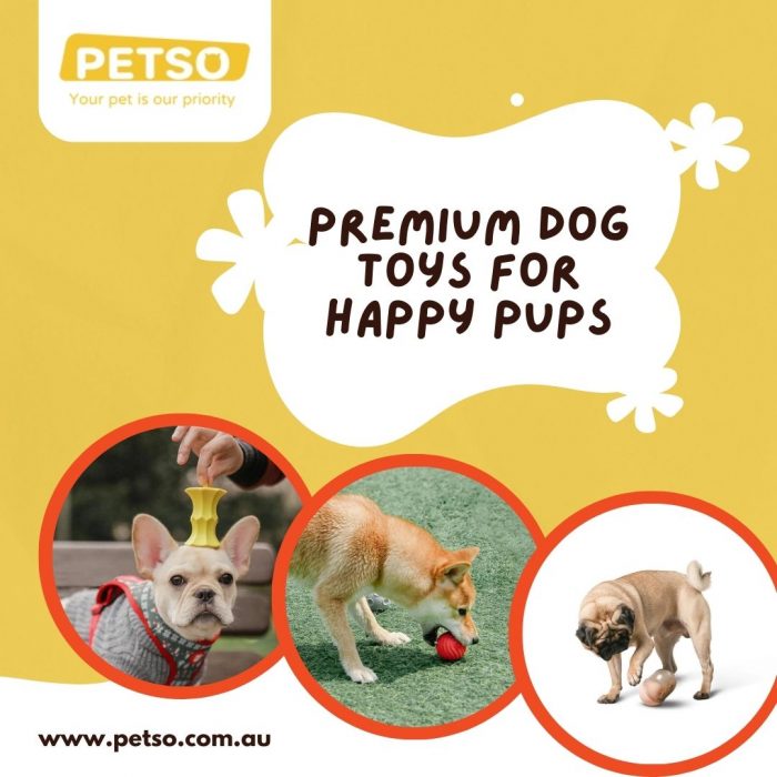 Find The Premium Dog Toys for Happy Pups