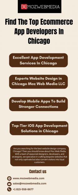 Find The Top Ecommerce App Developers In Chicago