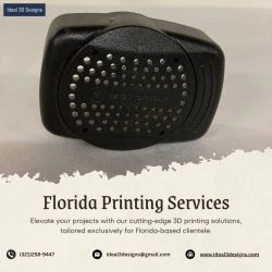 Florida Printing Services: Ideal 3D Designs for Your Projects