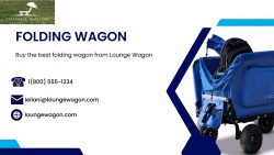 Buy the best folding wagon from Lounge Wagon