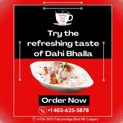 Food Restaurant Calgary NE: Try The Refreshing Taste of Dahi Bhalla