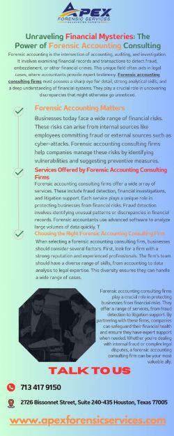 Forensic Accounting Consulting Firms: Apex Forensic Services