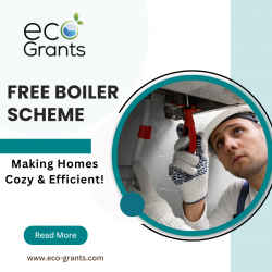 Exploring the Free Boiler Scheme in the UK