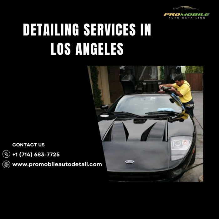 Full Auto Detailing Services in Los Angeles