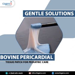 Gentle Solutions Bovine Pericardial Tissue Patch for Pediatric Care