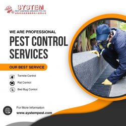 Get a Pest-Free Home with Our Expert Pest Control Services