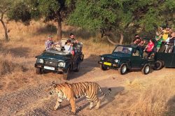 Discover India’s Rich Heritage: Golden Triangle Tours with Ranthambore and 4-Day Excursions