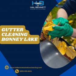 Bonney Lake Gutter Cleaning Services | Clear Clogged Gutters