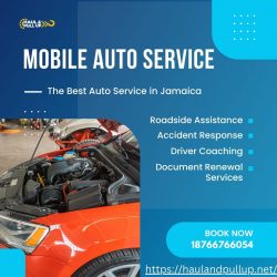 Top-quality Care for Your Vehicle: Auto Service Solutions Jamaica