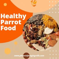 Healthy Parrot Food