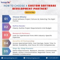 Software Development Partnership – SynergyTop