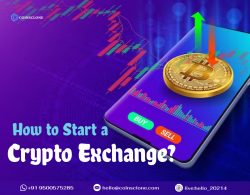 How To Start a Crypto Exchange?