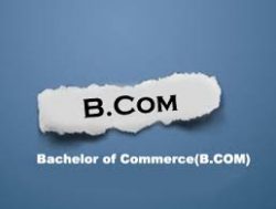 B Com (H) at Accurate Group of Institutions