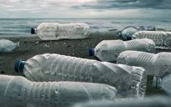 Waste Plastic Botles