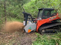 Unlock Your Property’s Potential | Tampa Land Clearing and Brush Removal