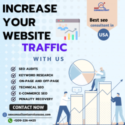 Elevate Your Online Presence with SEO Consultant Services USA