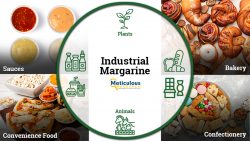 Meticulous Research® Unveils Groundbreaking Insights: Industrial Margarine Market Poised to Surg ...