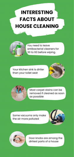 Interesting Facts About House Cleaning