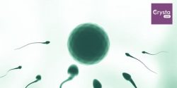 Boosting Sperm Count Naturally: Effective Strategies for Men’s Fertility