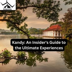 Unveiling Kandy: An Insider’s Guide to the Ultimate Experiences of 2024
