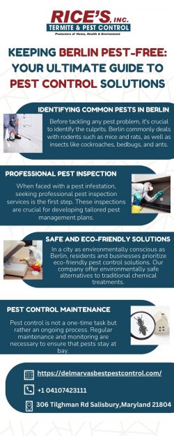 Keeping Berlin Pest-Free: Your Ultimate Guide to Pest Control Solutions