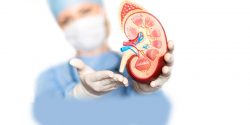 Dr. Niren Rao Surgeon, Kidney Doctor in Delhi, is Certified By PCNL, mini PCNL, URS, and RIRS