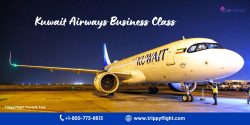 Kuwait Airways Business Class | Trippy Flight