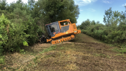 Louisiana Land Clearing: Professional Brush Removal Solutions