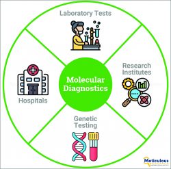 Latin America Molecular Diagnostics Market Projected to Reach $2.50 Billion by 2031: Meticulous  ...
