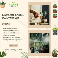 Lawn and Garden Maintenance | Plant and Pot Co.