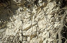 https://en.wikipedia.org/wiki/Limestone