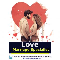 From Struggles to Success: How a Love Marriage Specialist Can Transform Your Relationship