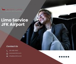 Luxury Limo Service in JFK Airport