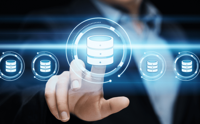 What Is A Database Server Responsible For?