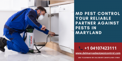 MD Pest Control: Your Reliable Partner Against Pests in Maryland