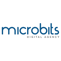 Website Development Company In Lebanon – Microbits