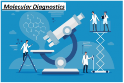 Meticulous Research® Forecasts Middle East & Africa Molecular Diagnostics Market to Exceed $ ...