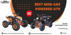 Shop Powerful Mini Gas Powered ATV – Venom Motorsports Canada