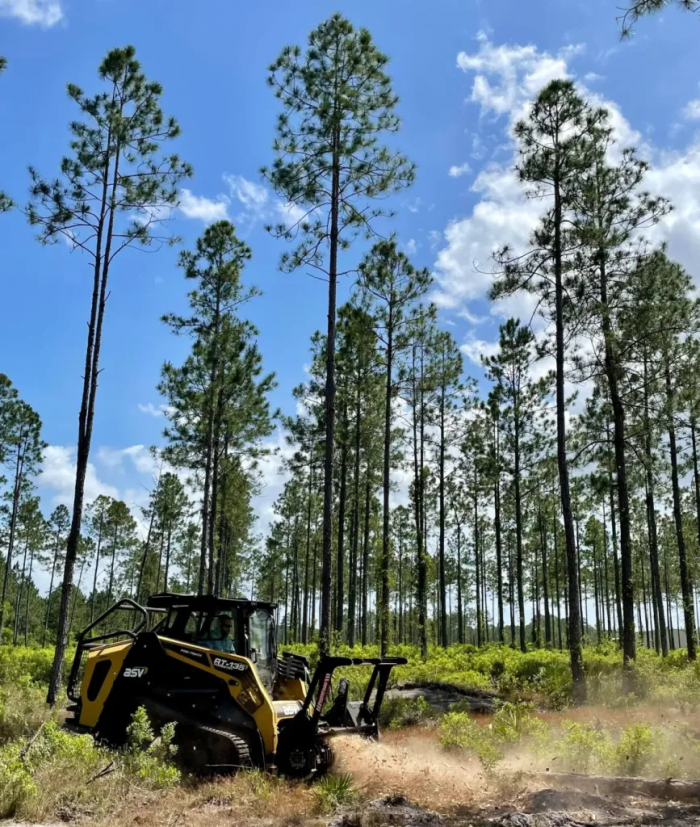 Mississippi Land Clearing: Premier Forestry Mulching Services