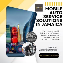 Auto Service Solutions Jamaica