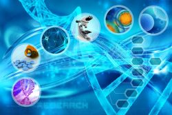 Meticulous Research Unveils Latest Report: Molecular Diagnostics Market Projected to Reach $46.6 ...
