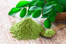 Moringa Extract Market by Size, Share, Forecast, & Trends Analysis