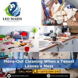 How to Tackle Move-Out Cleaning When a Tenant Leaves a Mess?