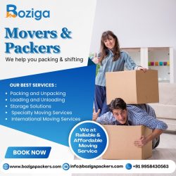 Smooth Relocation Guaranteed: Hire Quality Movers and Packers in Delhi