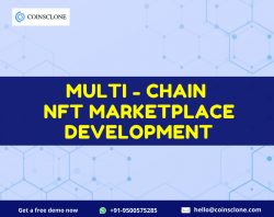 Develop a Multichain NFT Marketplace Platform