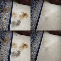 Silk rug cleaning Adelaide