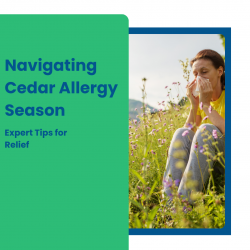 Navigating Cedar Allergy Season Expert Tips for Relief